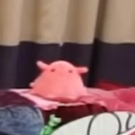 ハンカリマ