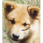 ユーザー画像