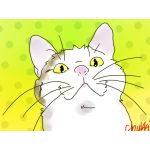 こさか
