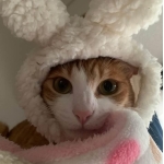 userPhoto