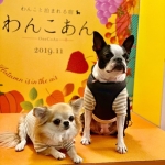 userPhoto