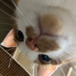 ユーザー画像