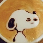 userPhoto