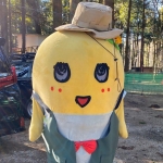 出目金