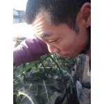 糸井雅彦 まーはん