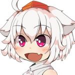 どっくいぬ
