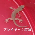 すんむる