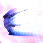 ユアド