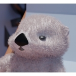 Sea otter club