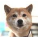 ぽちえむ外伝
