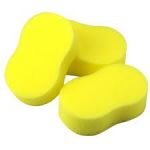 sponge