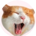 琲 珈 ♮