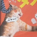 グレートバリアフリー