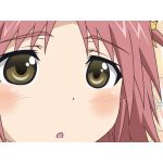 もずにゃん