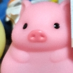 userPhoto