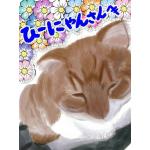 ひーにゃん
