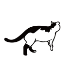 旧式チャッピー
