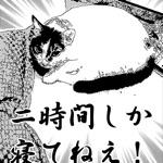 ☆★☆★☆ANGUS☆★☆★☆