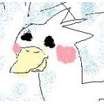userPhoto