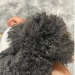 userPhoto