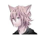 NinthCat