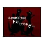 風の人