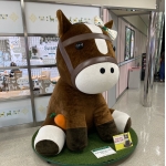 ユーザー画像