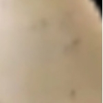 ぶりぶんくす