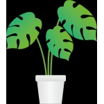 観葉植物