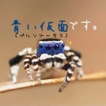 userPhoto