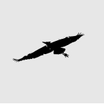 カズタケ