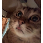 ユーザー画像
