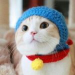 おばさんだも～ん