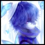 翅音