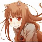 賢狼ホロ(生放送主)