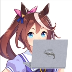 公開テイオー