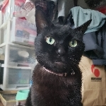userPhoto