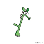 不審者 S