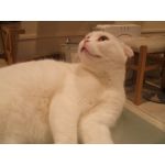 userPhoto