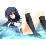 黒蝶