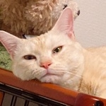 腰ひかり