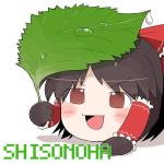 シソの葉