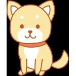 ゲスト