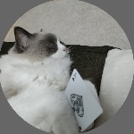 えあぷらんつ