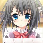 とっしー