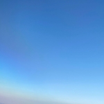 みーみー