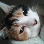 userPhoto