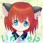 いかにゃん