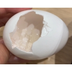 たまごえっぐ