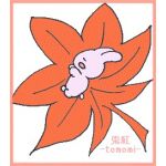 兎紅-tomomi-